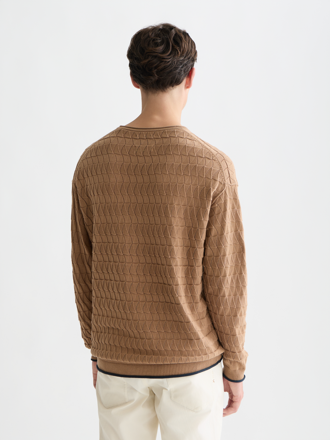 Pointelle knit pullover by Scotch & Soda, featuring a textured pattern, crew neckline, and long sleeves, shown from the back.