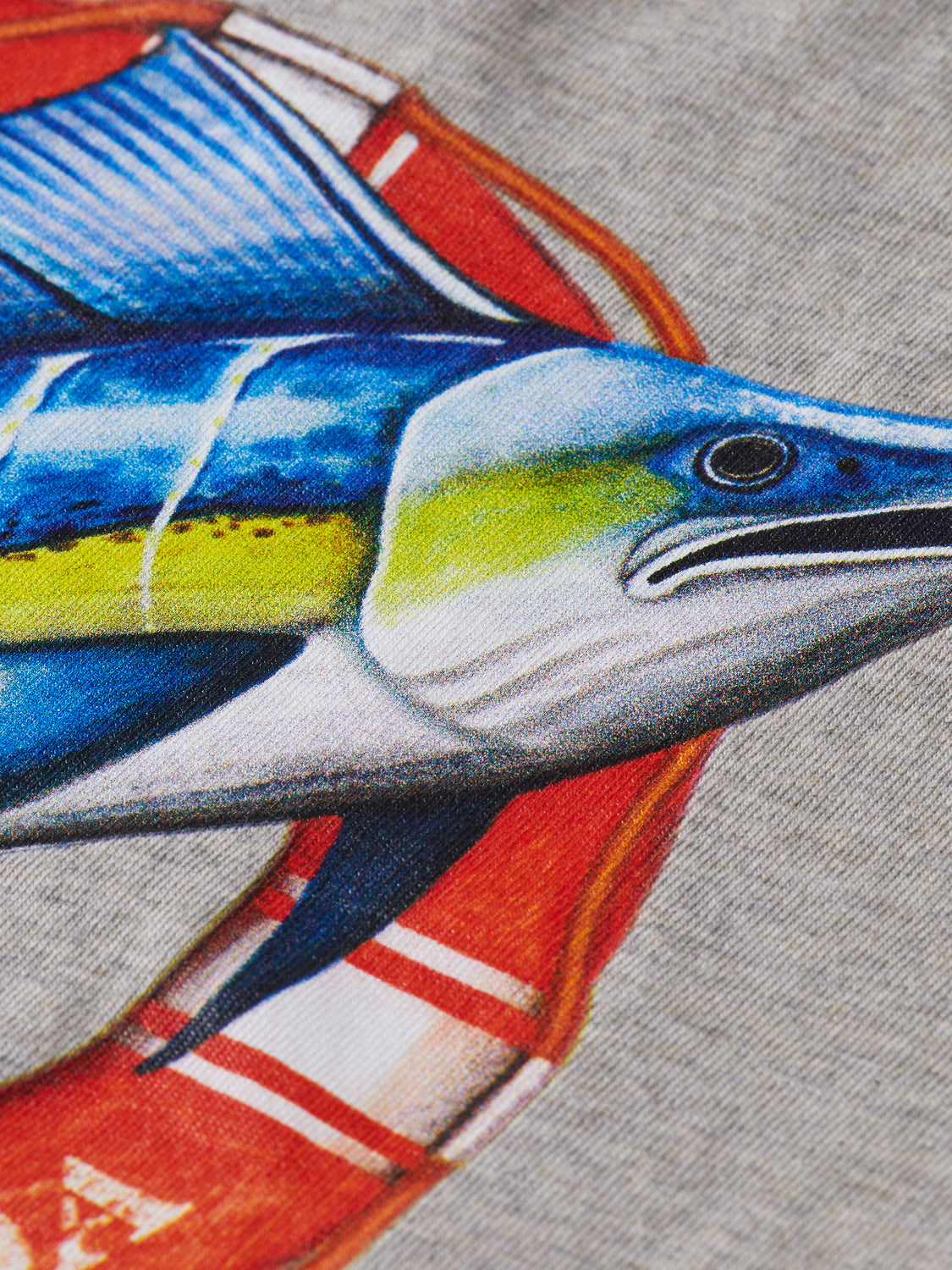 Kids - Artwork t-shirt - Scotch & Soda NZ