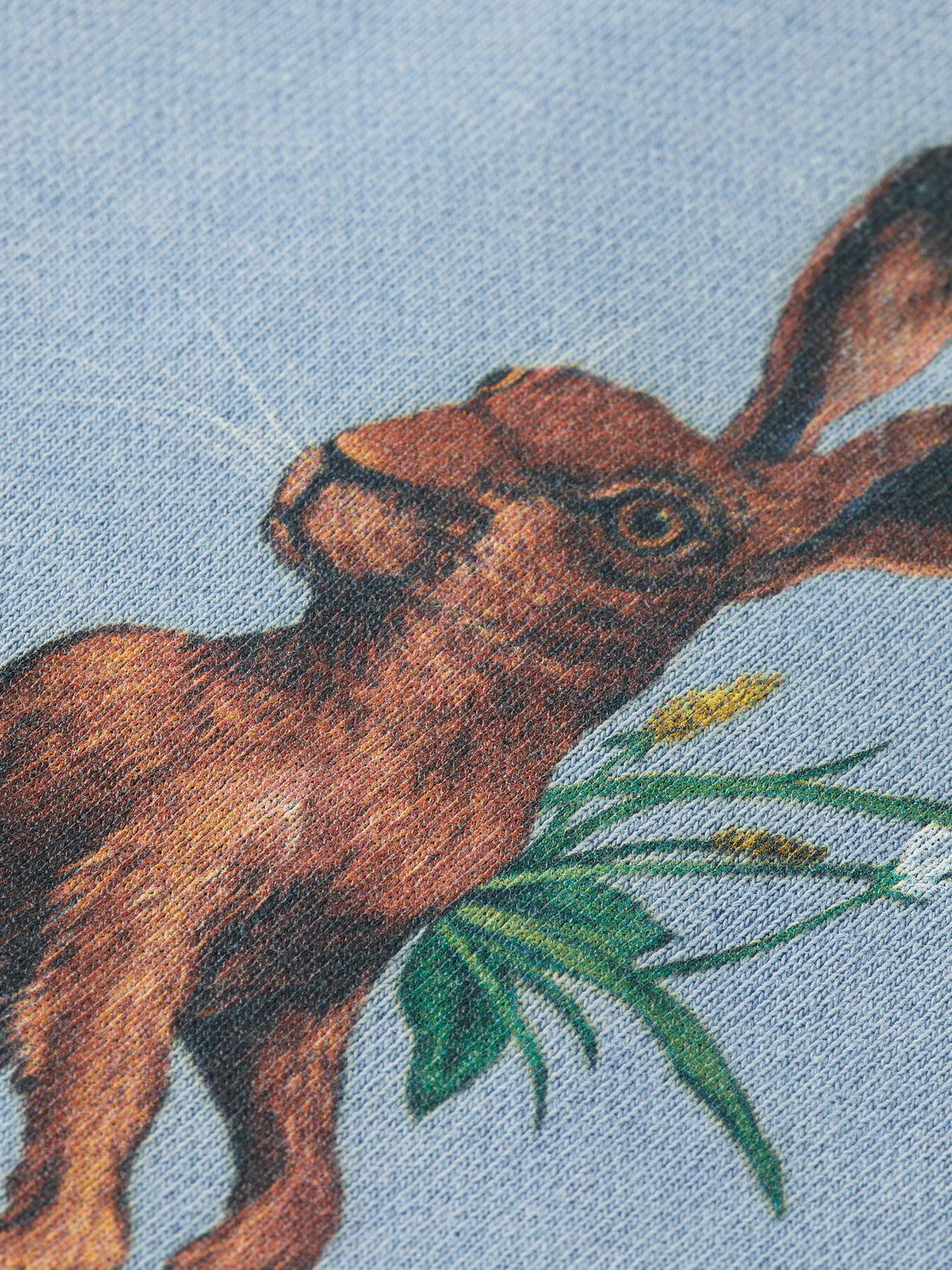 Kids - Artwork sweatshirt - Scotch & Soda NZ