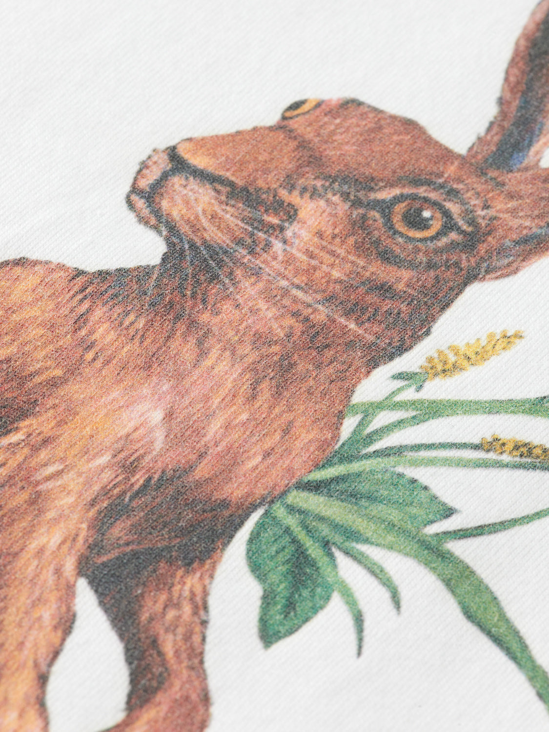 Kids - Artwork t-shirt - Scotch & Soda NZ