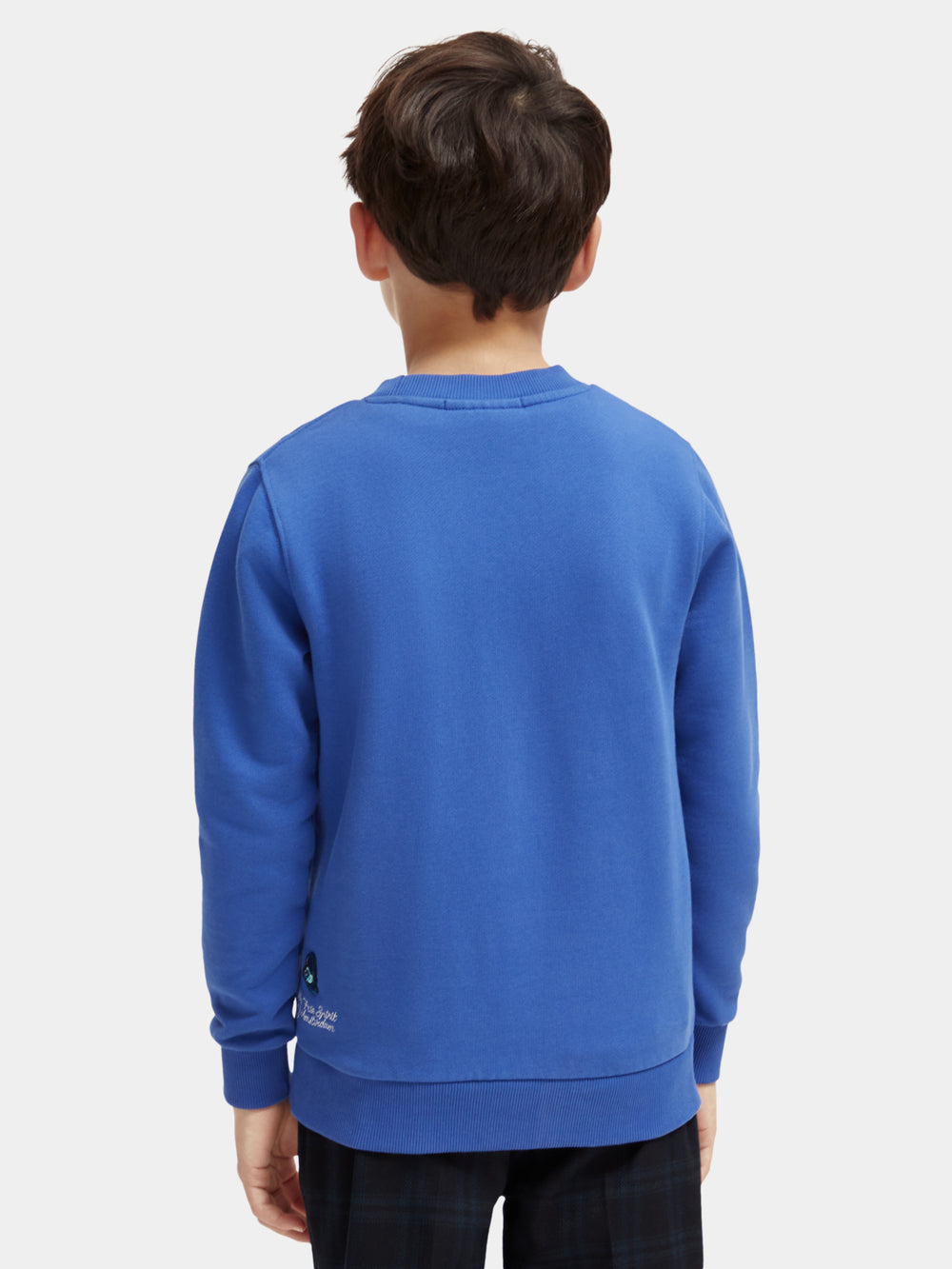 Kids - Regular-fit crewneck artwork sweatshirt - Scotch & Soda NZ