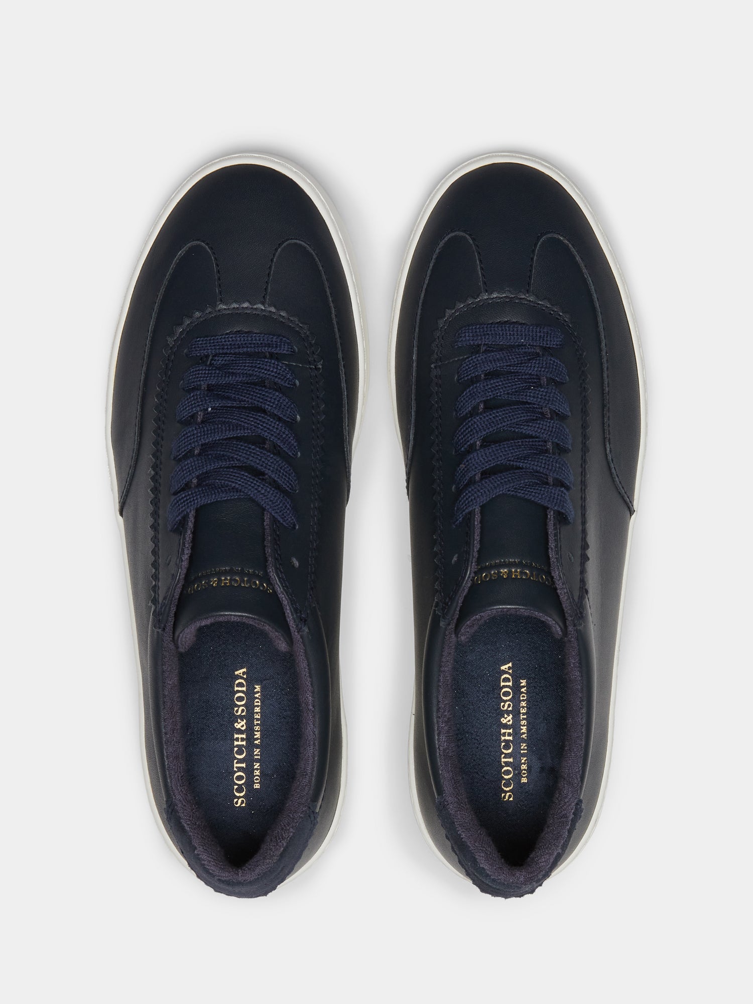 Plakka sneakers - Scotch & Soda NZ