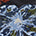 Swatch image for Blue