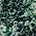 Swatch image for Green