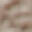 Swatch image for Grey