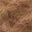 Swatch image for Brown
