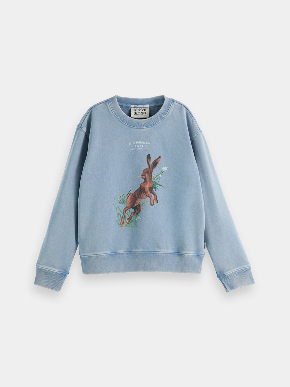 Kids - Artwork sweatshirt - Scotch & Soda NZ