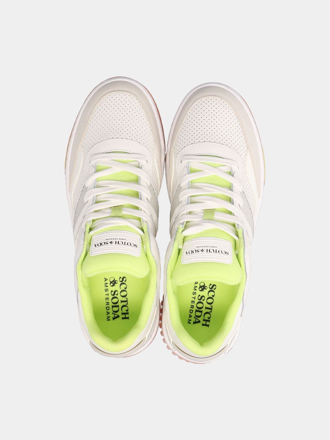 New Cup sneakers - Scotch & Soda NZ