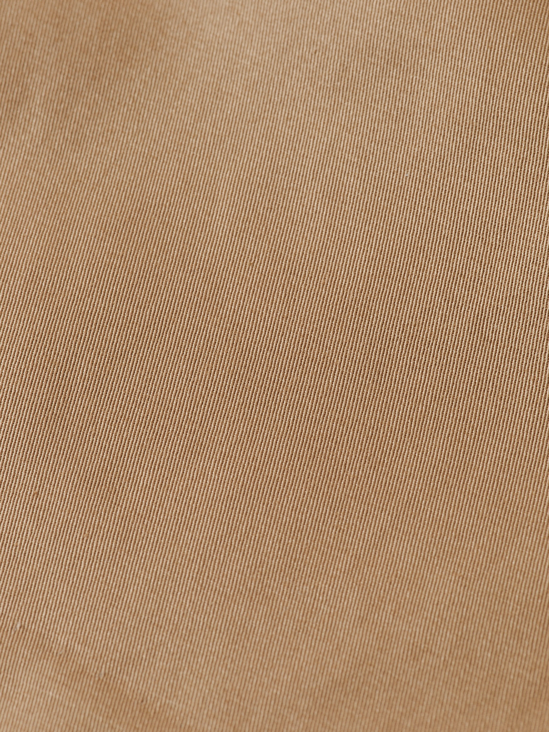 Abott chino shorts - Scotch & Soda NZ