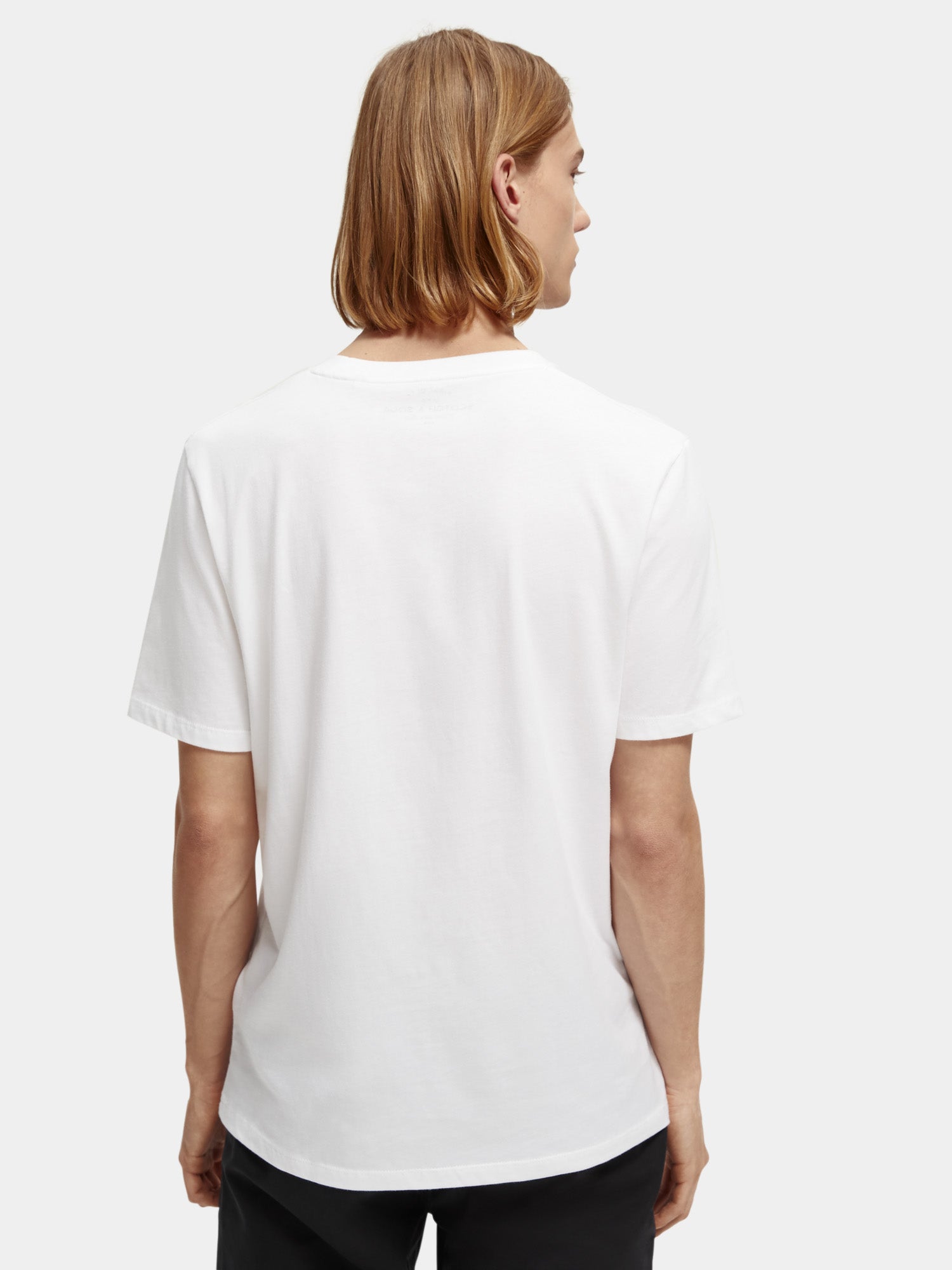 Organic cotton jersey t-shirt - Scotch & Soda NZ