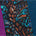 Swatch image for Multicolour
