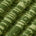 Swatch image for Green