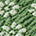 Swatch image for Green