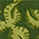 Swatch image for Green