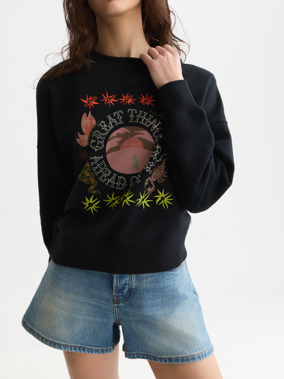 Scotch & Soda artwork sweatshirt featuring a graphic print, long-sleeve casual sweatshirt with ribbed cuffs and neckline.